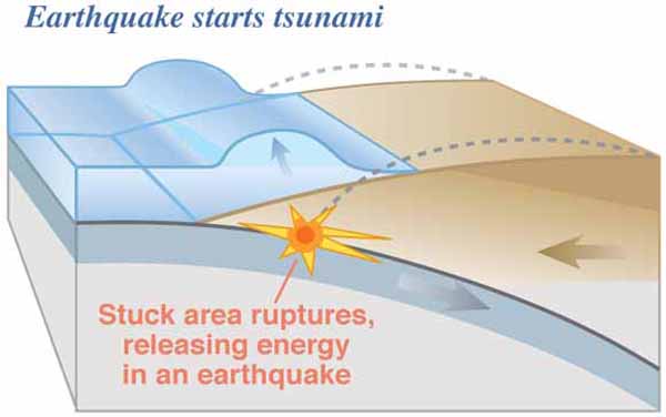 Plate slips, causing subsidence and releasing energy into water.